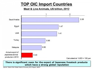 TOP OIC Import Countries