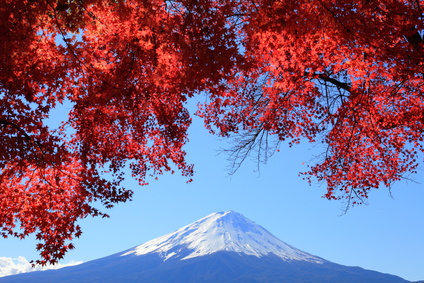 Mount Fuji and the autumn leaves of the banksof Lake Kwaguchi.