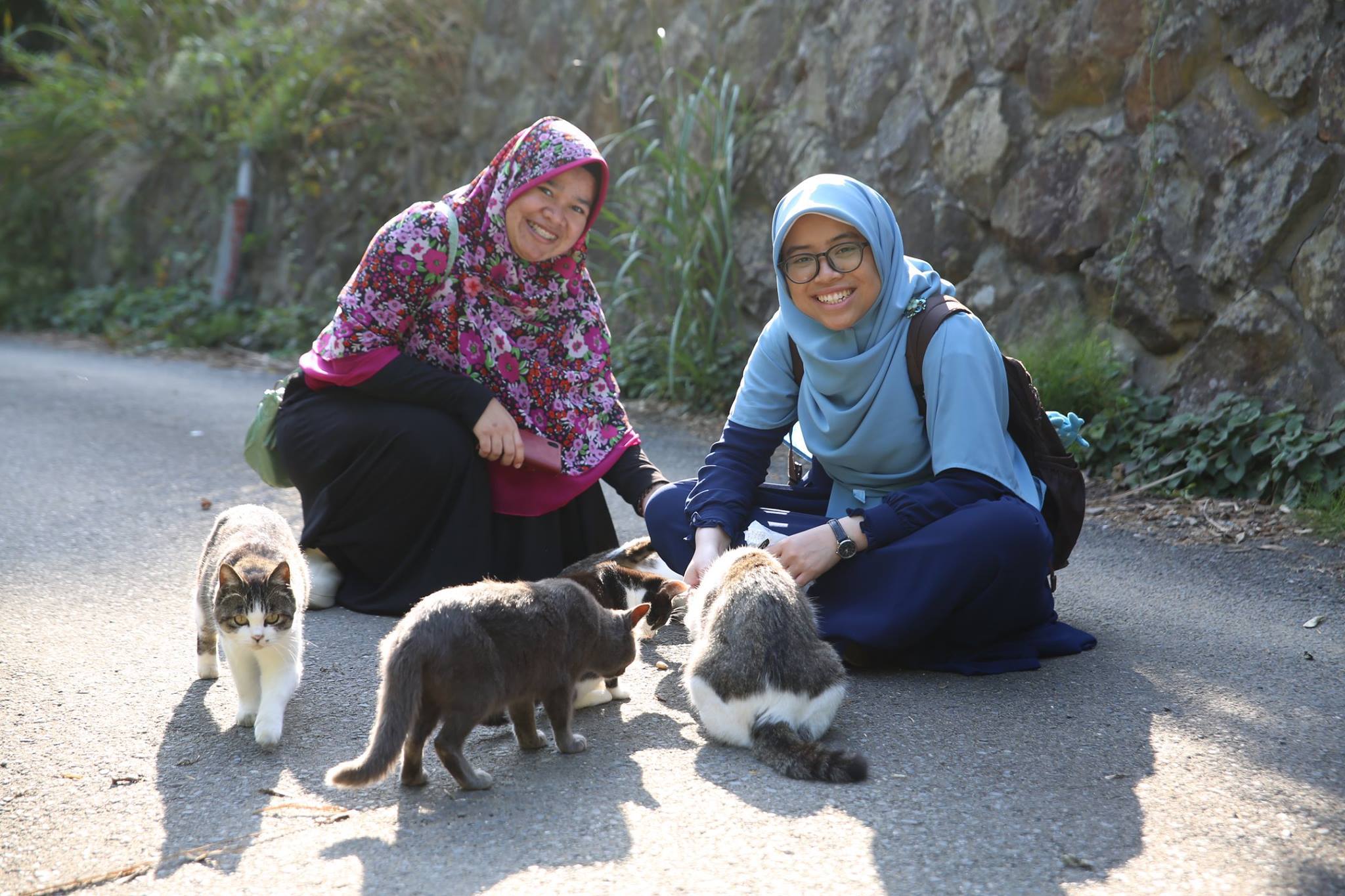 Let's Go To The Cat Island, Tashirojima! 