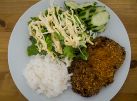 tori katsu plate