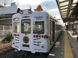 cat train! so cute!