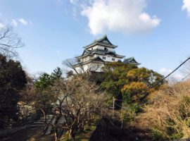 wakayama castle